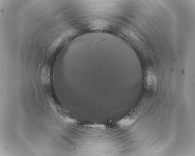 X0000088200547200706051234