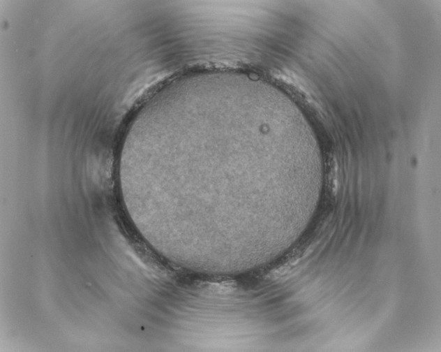 X0000088200548200706051234