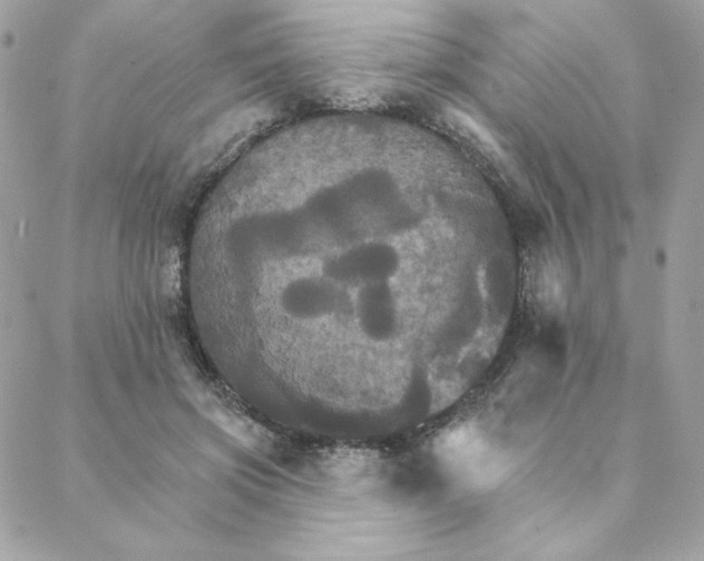 X0000088200549200706051234