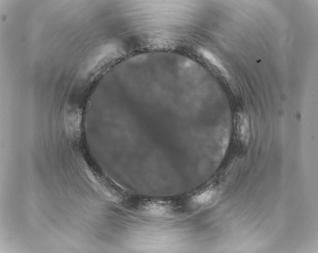 X0000088200550200706051234