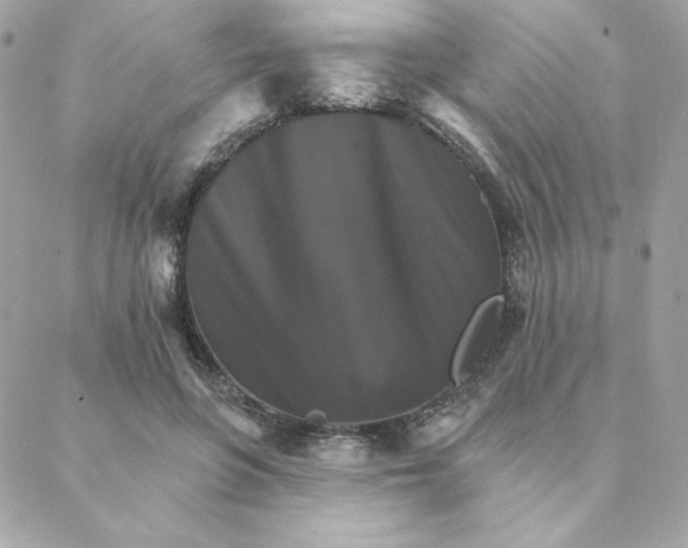 X0000088200551200706051234