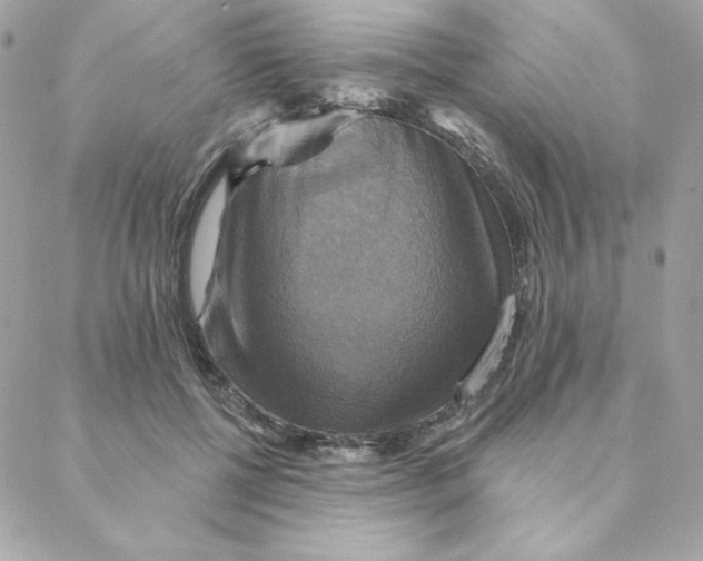 X0000088200552200706051234