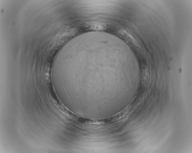 X0000088200553200706051234