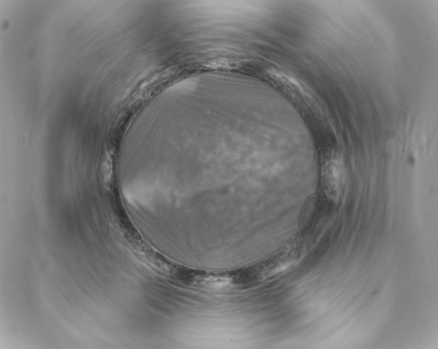 X0000088200554200706051234