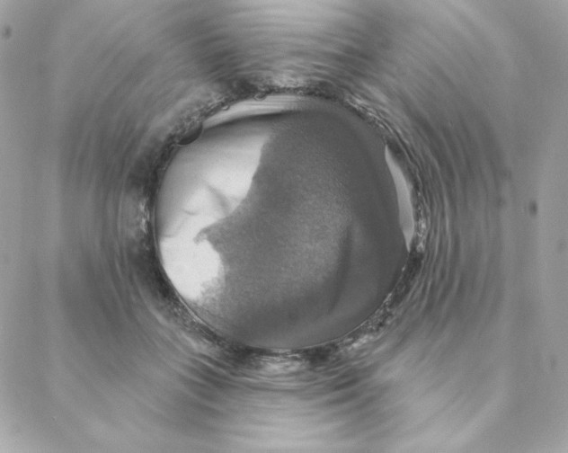 X0000088200555200706051234