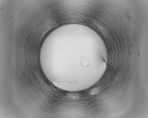 X0000088200556200706051234