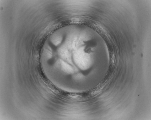 X0000088200557200706051234