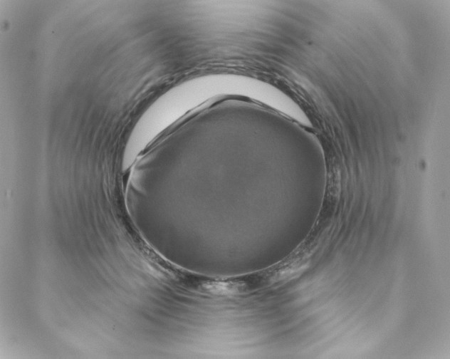 X0000088200558200706051234