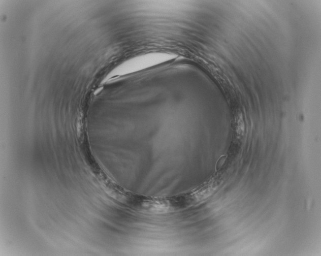 X0000088200559200706051234