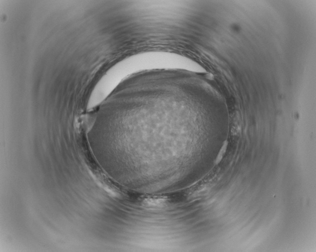 X0000088200560200706051234