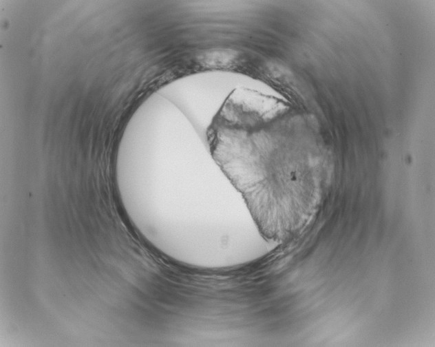 X0000088200561200706051235