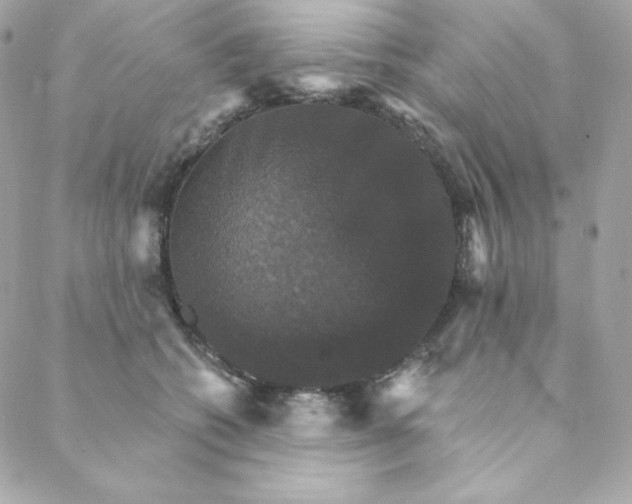 X0000088200562200706051235