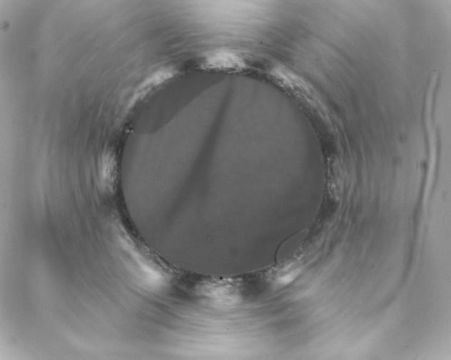 X0000088200563200706051235