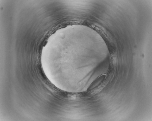 X0000088200564200706051235