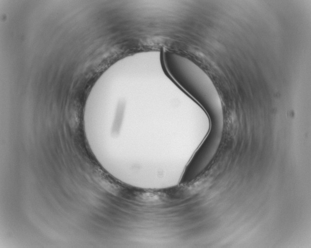 X0000088200566200706051235