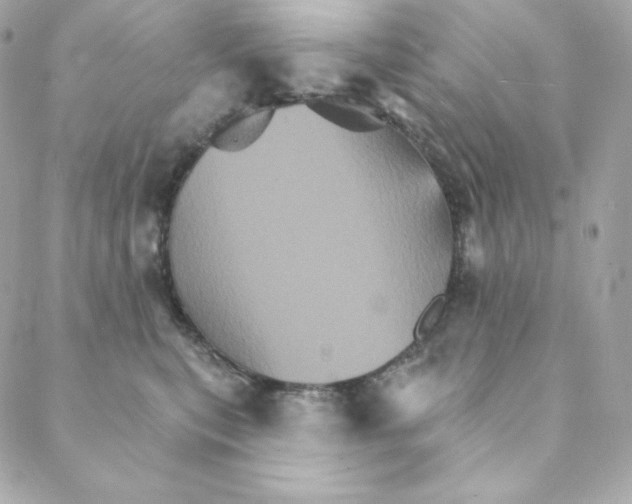 X0000088200567200706051235