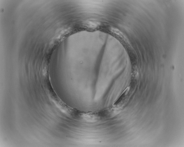 X0000088200568200706051235