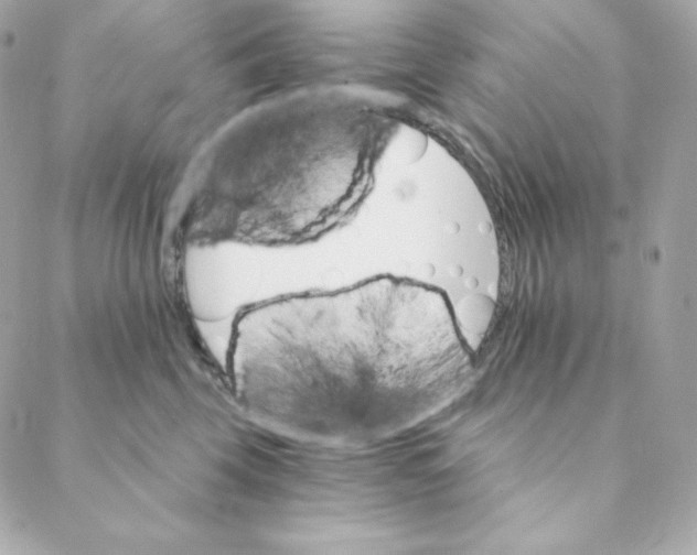 X0000088200569200706051235