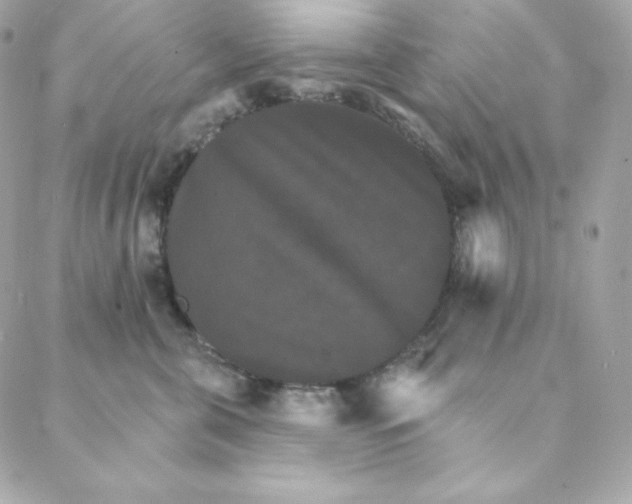 X0000088200571200706051235