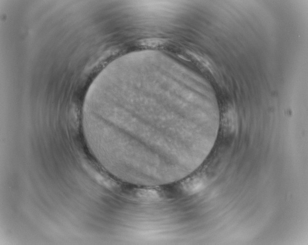 X0000088200572200706051235