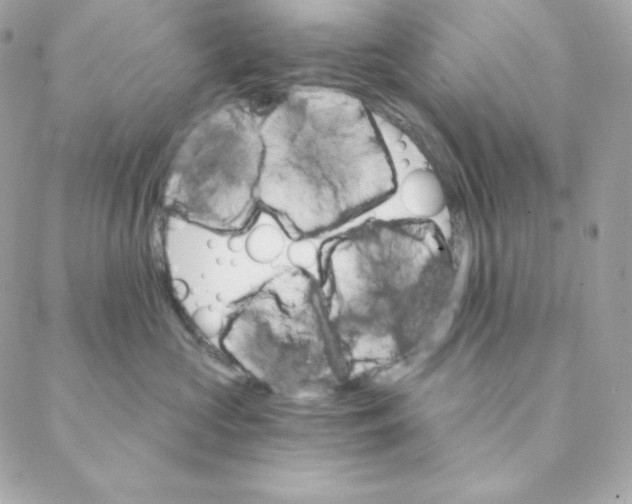 X0000088200573200706051235