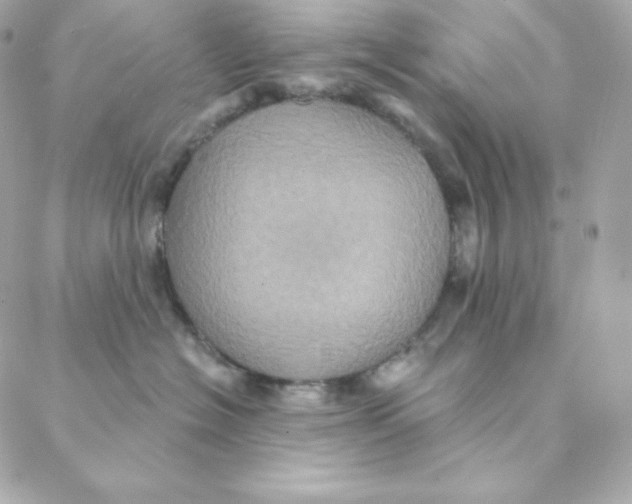 X0000088200574200706051235