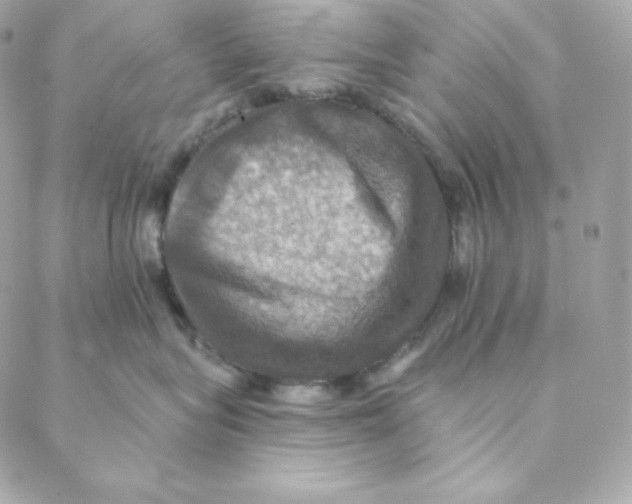 X0000088200575200706051235