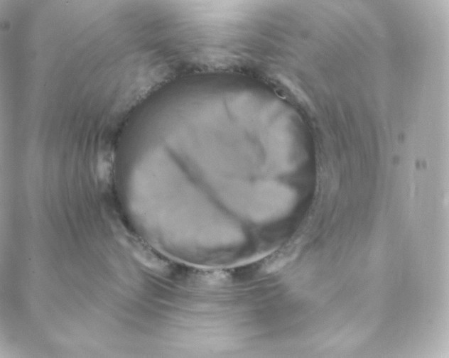 X0000088200576200706051235