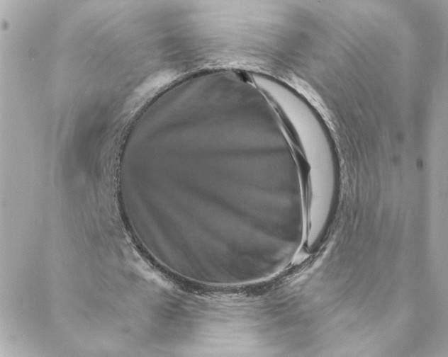 X0000088200577200706051234