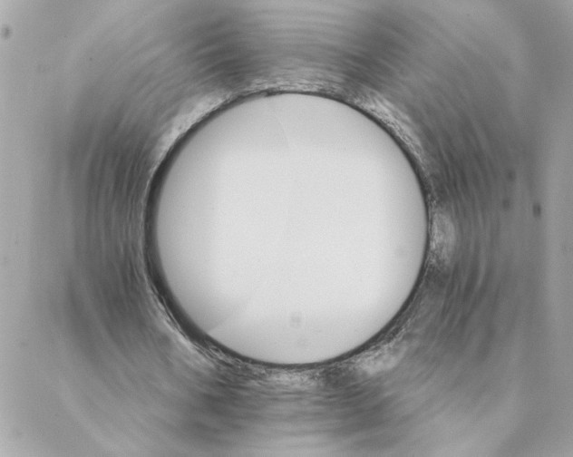 X0000088200578200706051234