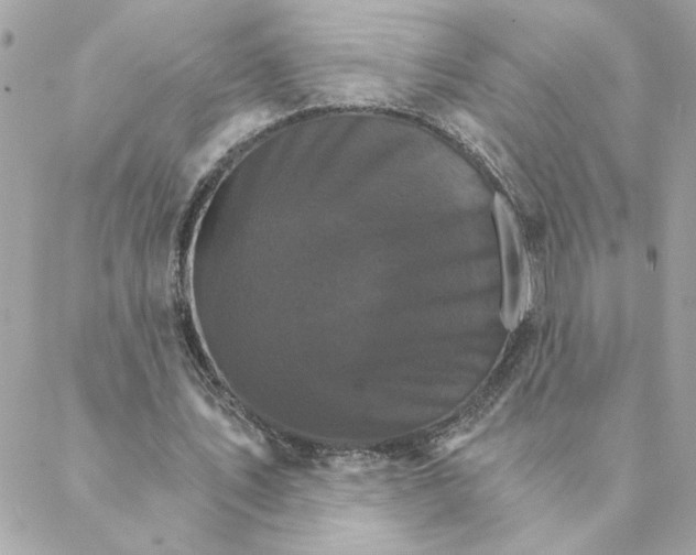 X0000088200579200706051234