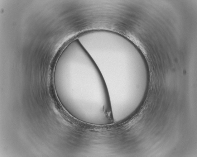 X0000088200580200706051234