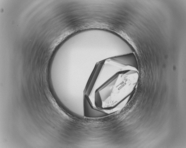 X0000088200581200706051234