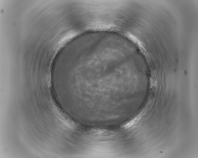 X0000088200582200706051234