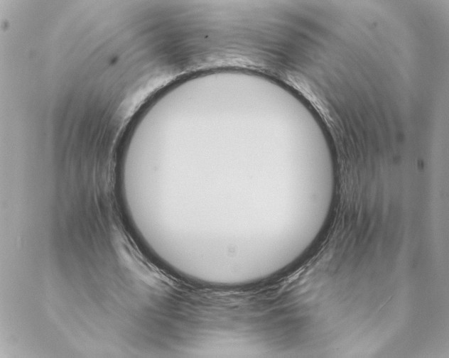 X0000088200583200706051234