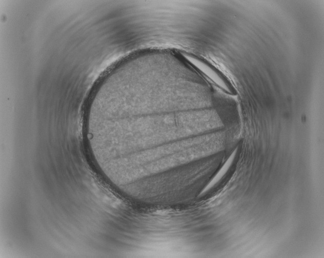 X0000088200584200706051234