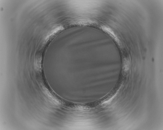 X0000088200585200706051234