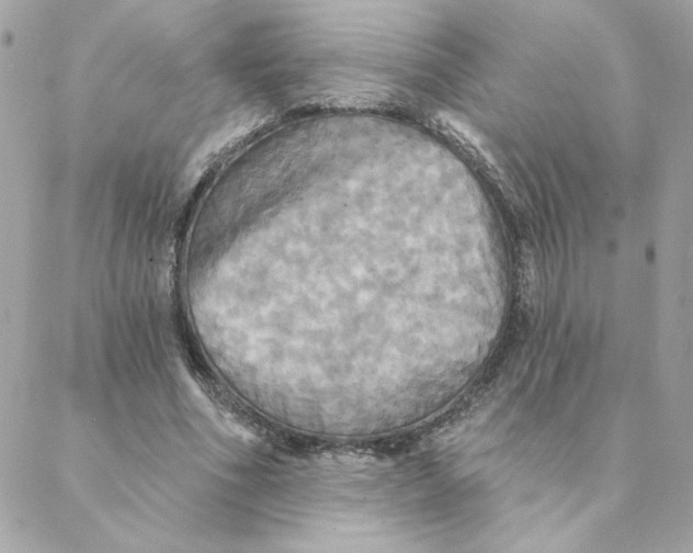 X0000088200586200706051234