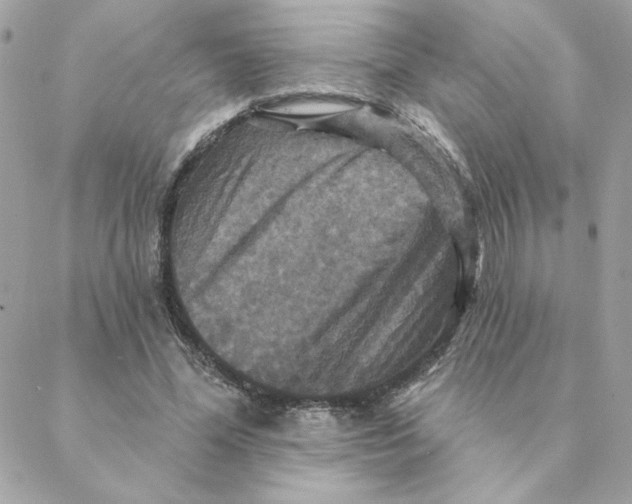 X0000088200588200706051234