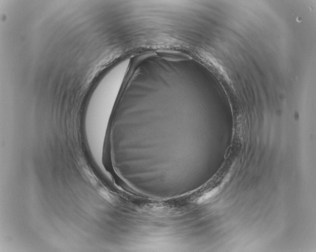 X0000088200589200706051234