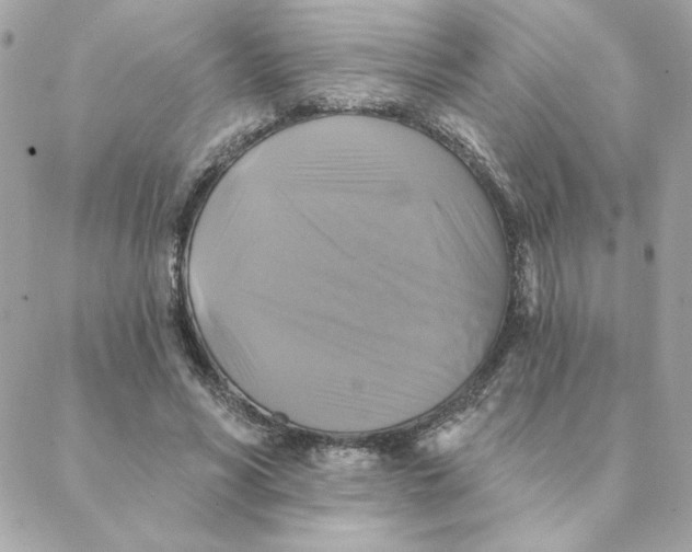 X0000088200590200706051234