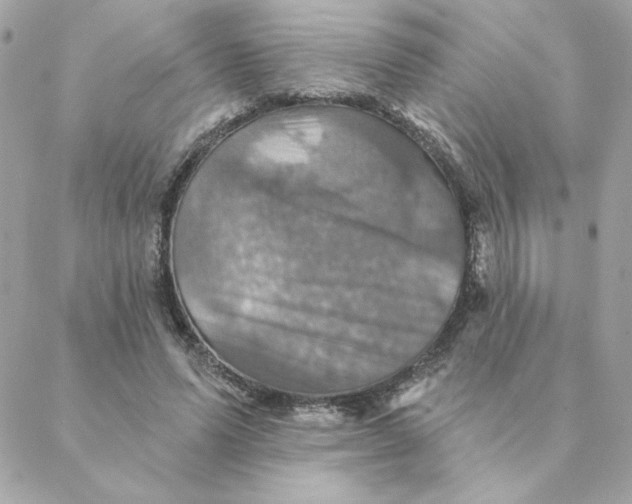 X0000088200591200706051234