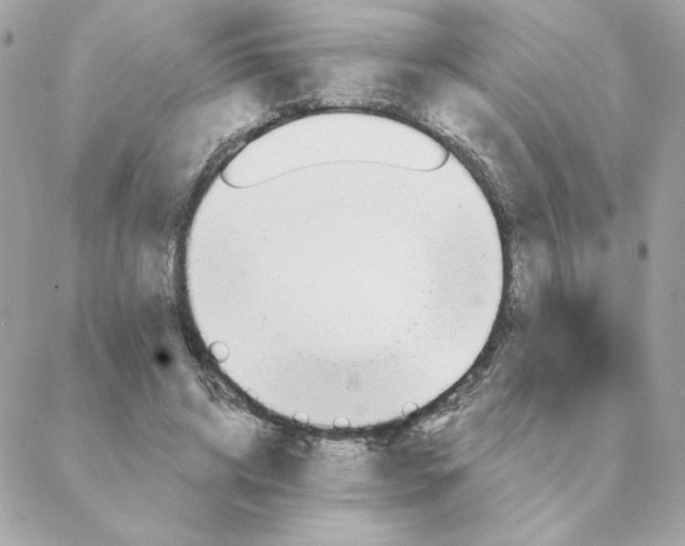 X0000088200592200706051234