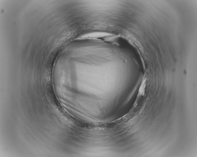 X0000088200593200706051234