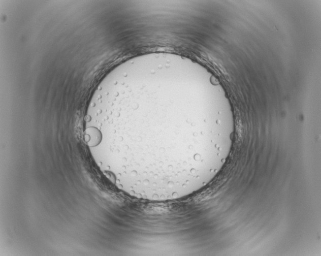 X0000088200594200706051234