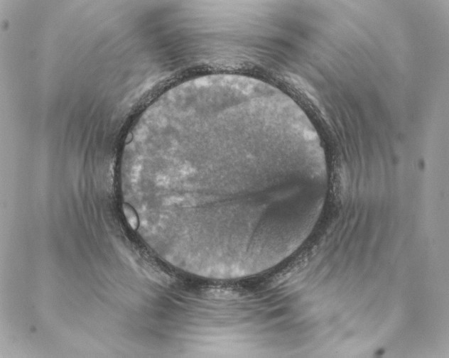 X0000088200596200706051234