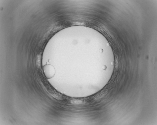 X0000088200598200706051234