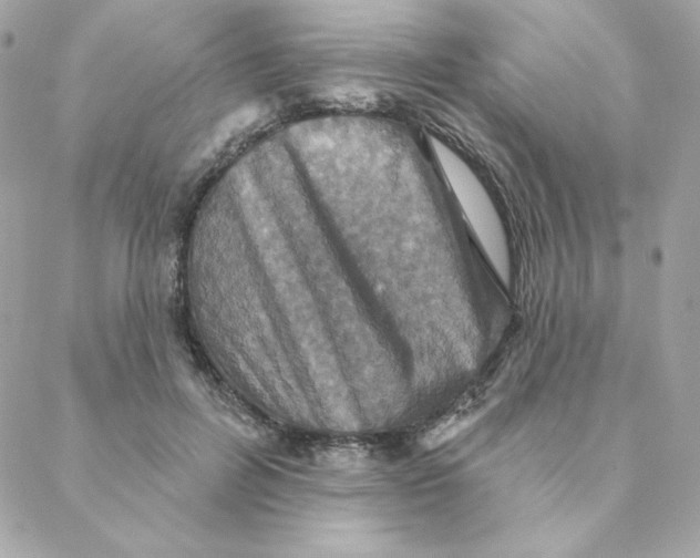 X0000088200600200706051234