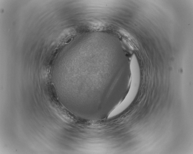 X0000088200601200706051234