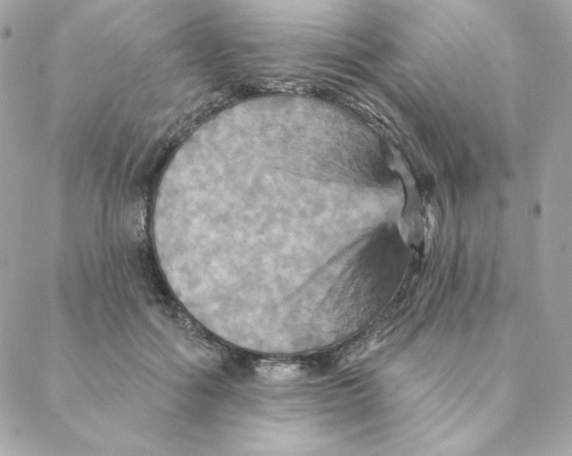 X0000088200602200706051234